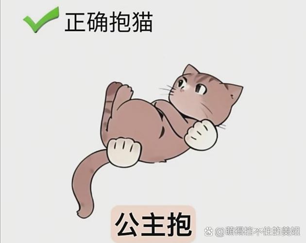 扶住是什么意思图标