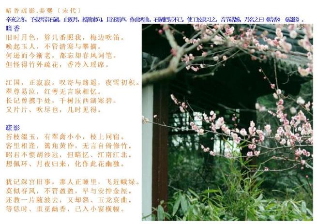 梅花网文案官网入口图标