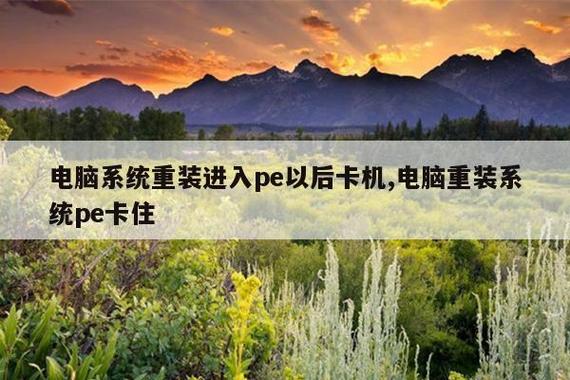 进去pe后一会就卡住了截图