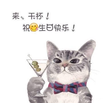 猫咪生日祝福缩略图