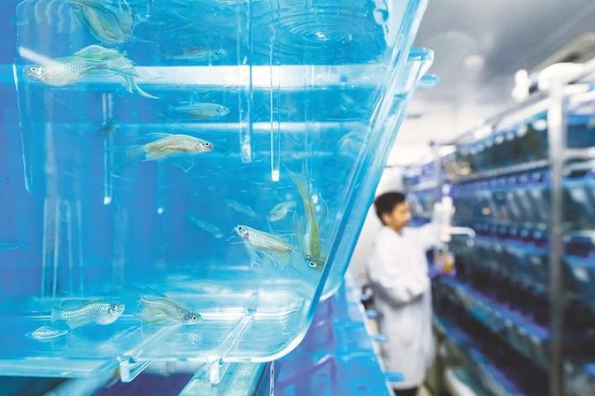 水族研究所
