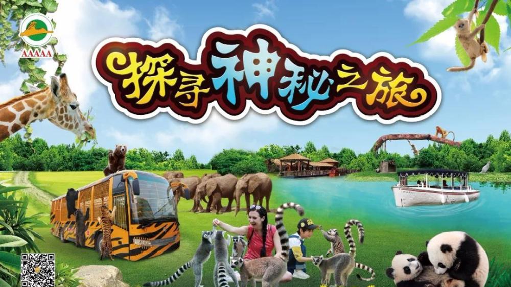 探寻神秘之旅缩略图