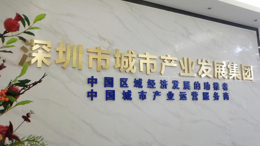 深圳市创新投资集团有限公司图标