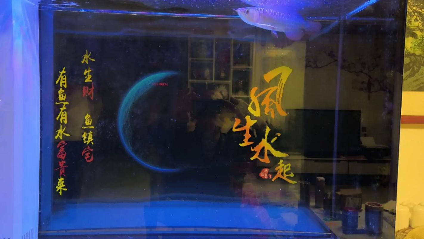 鱼缸背景纸怎么撕下来截图