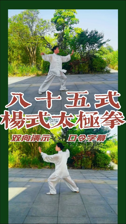 李占英85式太极拳全套演练图标