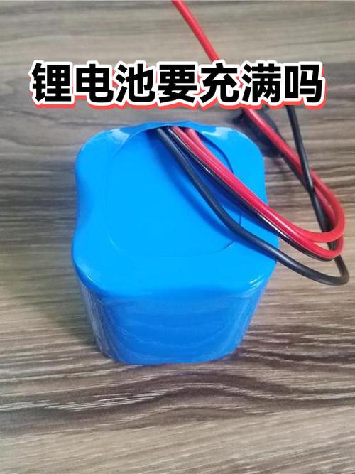 锂电池充电要充满吗游戏截图