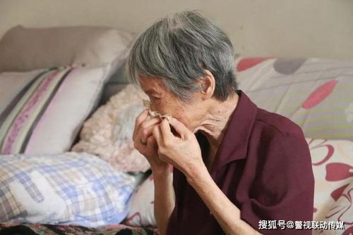 临时保姆怎么找截图