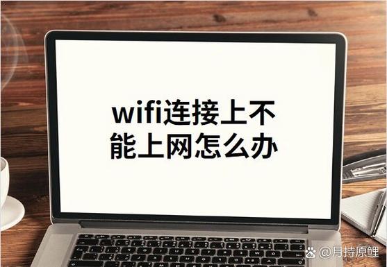wifi连接无法上网截图