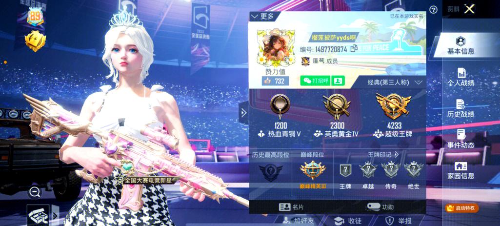 和平精英v10截图
