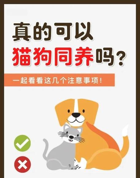 最简单的养狗方法