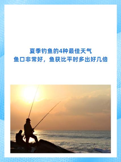 今日钓鱼开口时间表截图