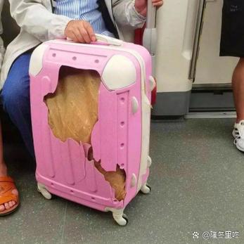 地铁箱子爆率修改器缩略图