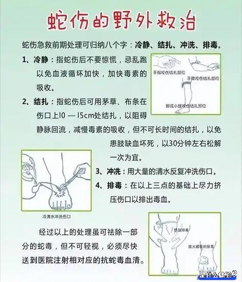 蝰蛇咬了有救吗图标