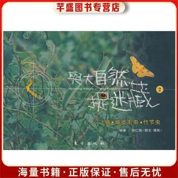 捉迷藏2图标