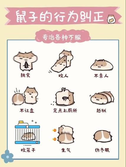 仓鼠什么举动是认主了截图