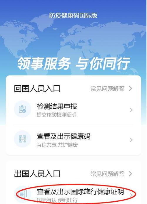 防疫健康码国际版截图