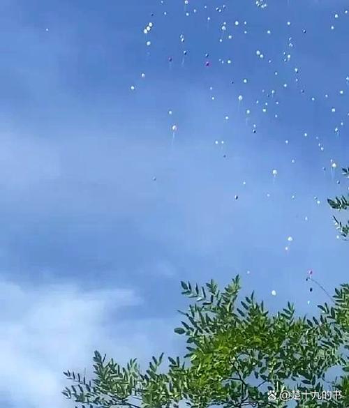 正常人看天空会有亮点吗图标