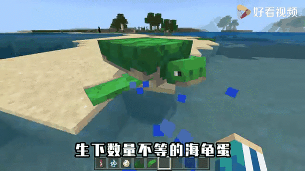 我的世界如何孵化海龟蛋截图