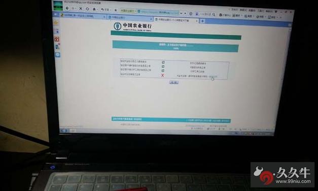 农业银行企业网银找不到转账