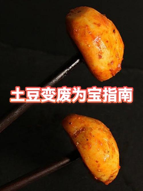 土豆app下载安装到手机版缩略图