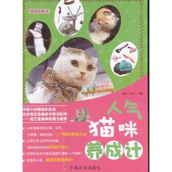 养了个猫官方正版