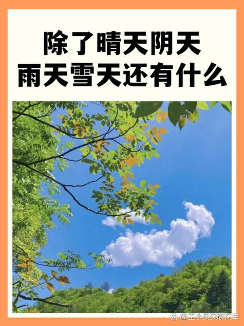 可是没有风后面是什么情况截图