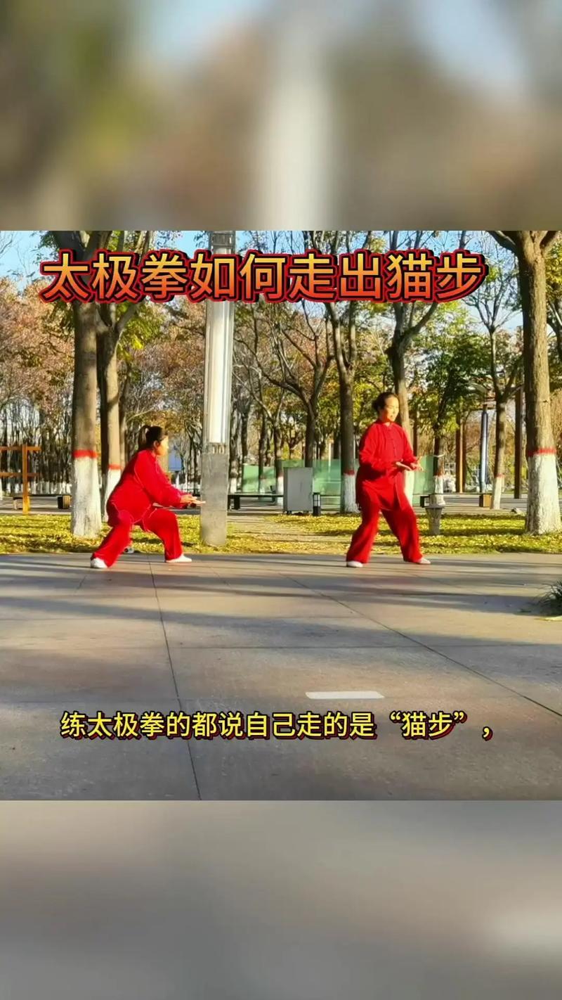 猫步运动app赚钱图标