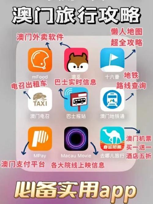 澳门交通app官方下载游戏截图