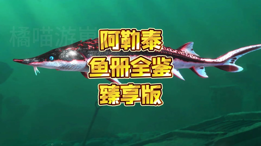 欢乐钓鱼大师稀有鱼