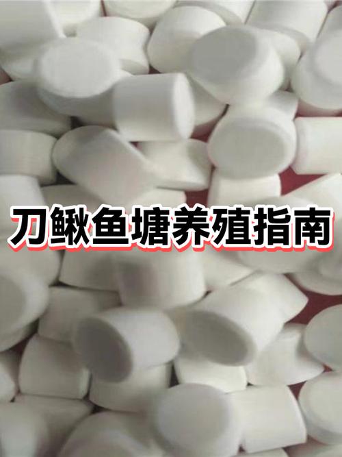 超级大鱼塘为什么登录失败截图