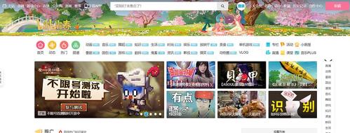 bilibili有没有电脑版游戏截图