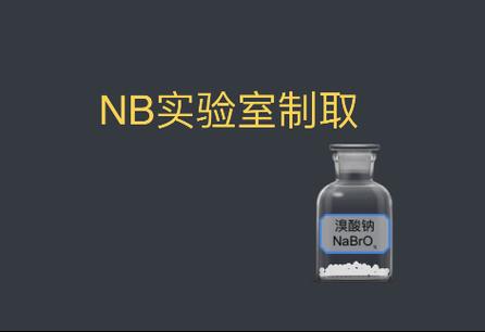 NB化学实验室网页版缩略图