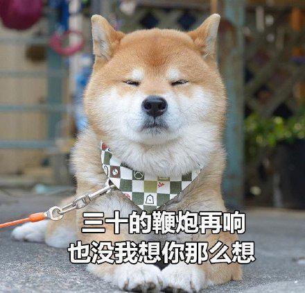 女生称呼男朋友狗子