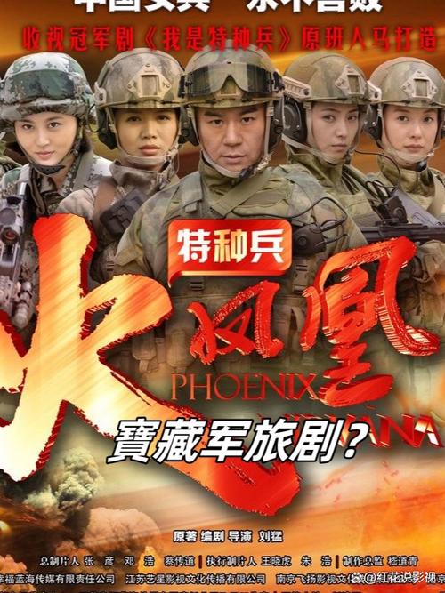 国产军事电视剧大全缩略图