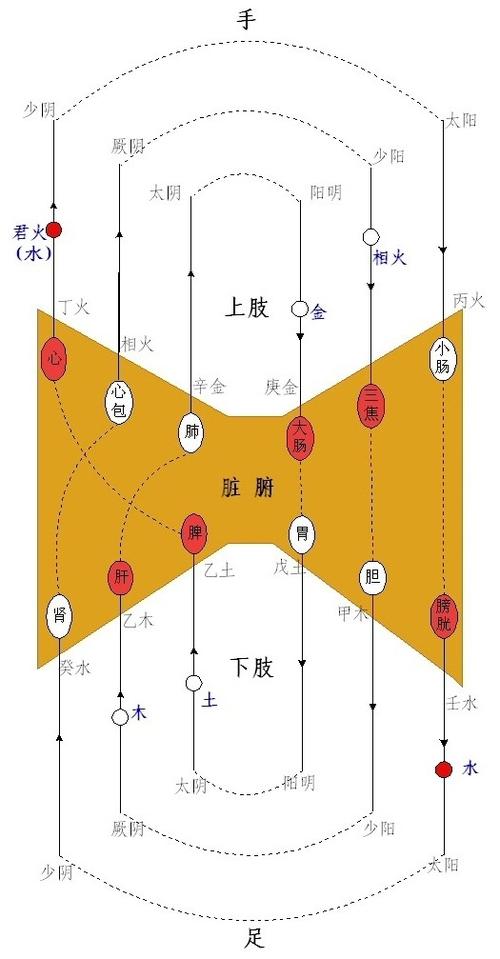 小郎中讲四圣心源图标