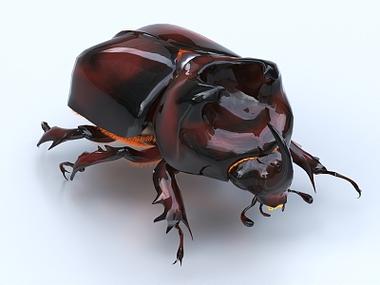 独角仙模拟器3D最新版本更新内容游戏截图