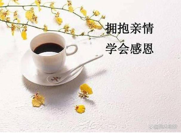 如何增加亲情卡额度图标