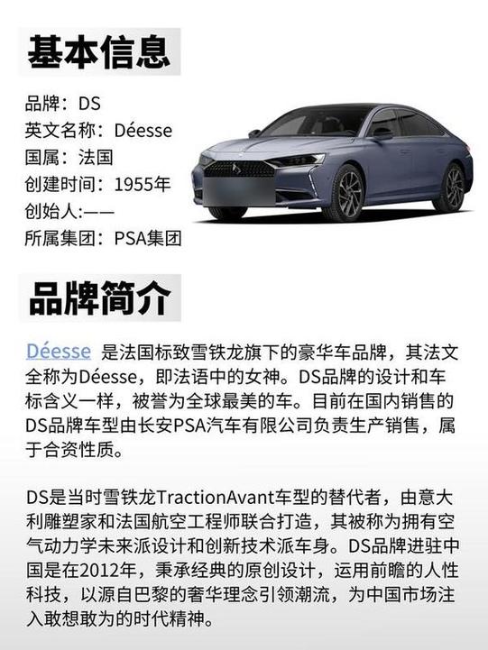 ds汽车的品牌介绍图标