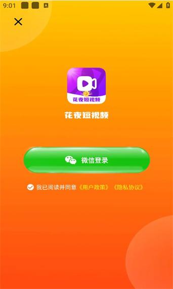 下载个微视频图标
