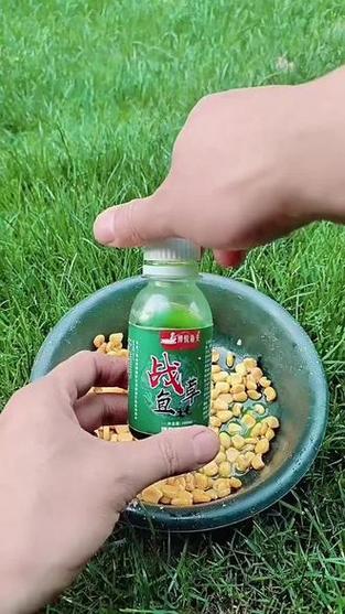 诱鱼最厉害三种饵料截图