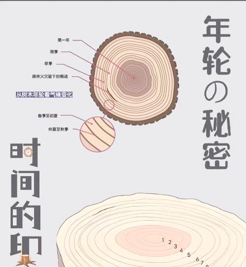 secret手机版怎么下载