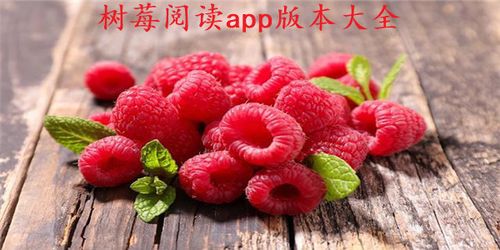 树莓阅读小说下载新版本截图