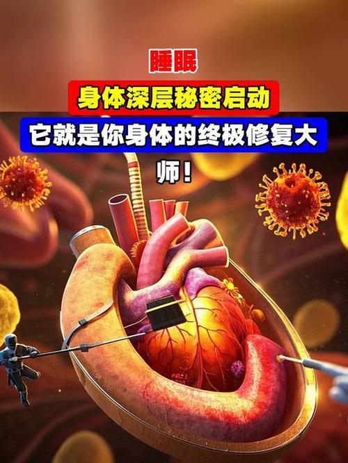 电脑进入睡眠模式黑屏开不了机