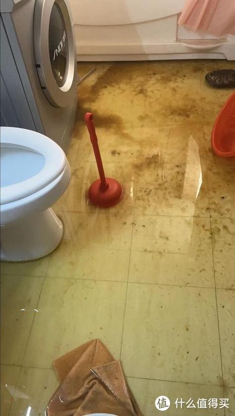 马桶会反水吗截图