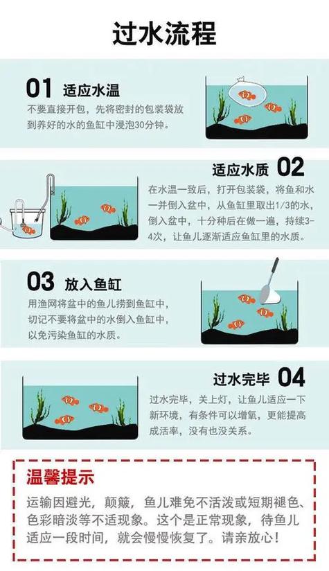 40cm能养多少鱼截图