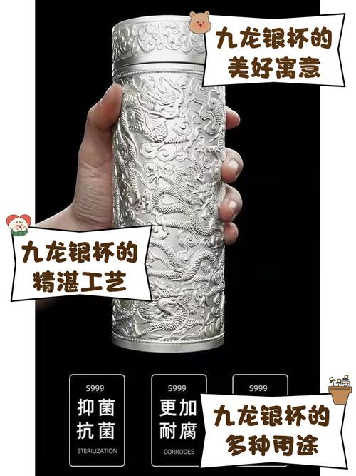 山东教育卫视九龙银杯