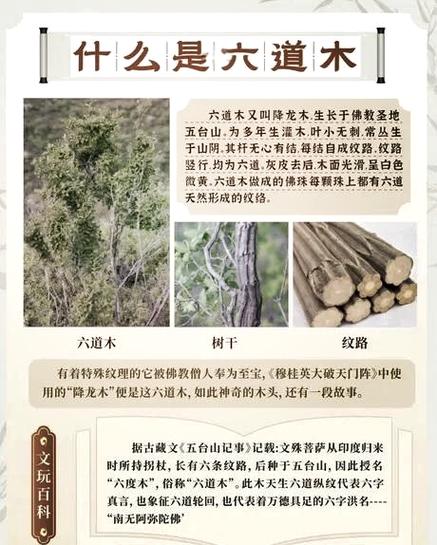 喑哑在佛教中的寓意图标