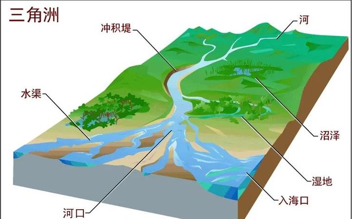《三角洲》官方网站