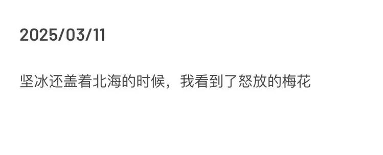 梅花网文案网站图标