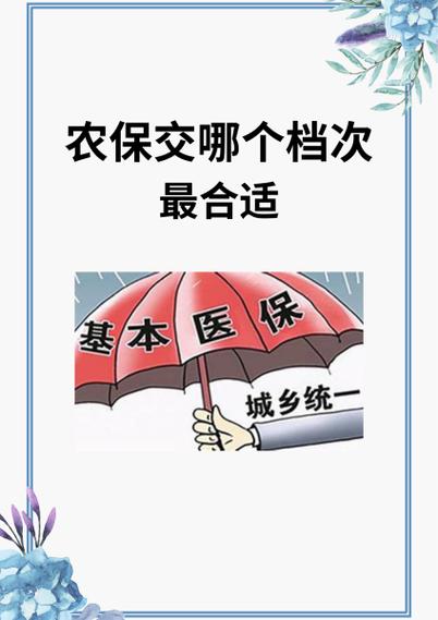 农保有几个档次缩略图